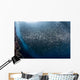 Massive School Millions Sardines Wall Decal