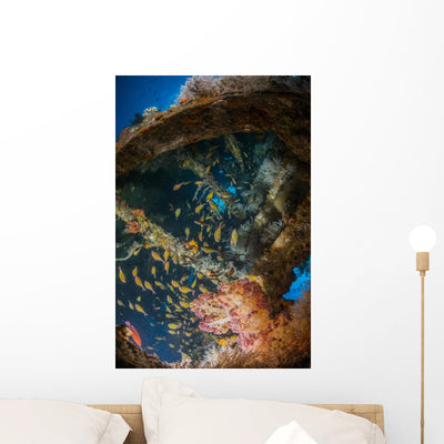 Dendronephthya and School Cardinalfish Wall Decal shown on a wall
