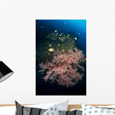 Damselfish and Blu-lined Snapper Wall Decal shown on a wall