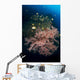 Damselfish and Blu-lined Snapper Wall Decal