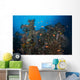 Schools Red Anthias over Wall Decal