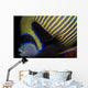 Emperor Angelfish Wall Decal