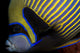 Emperor Angelfish Wall Decal