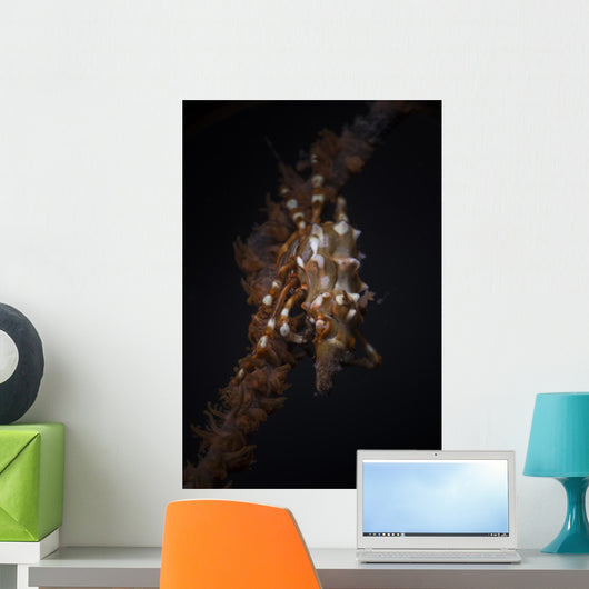 Orange and White Xeno Wall Decal