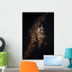 Orange and White Xeno Wall Decal
