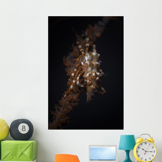 Orange and White Xeno Wall Decal
