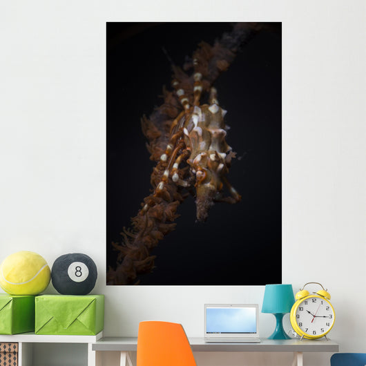 Orange and White Xeno Wall Decal