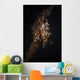 Orange and White Xeno Wall Decal