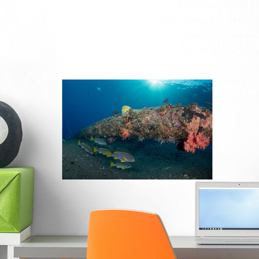 Small School Indian Ocean Wall Decal