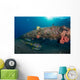 Small School Indian Ocean Wall Decal
