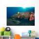 Small School Indian Ocean Wall Decal