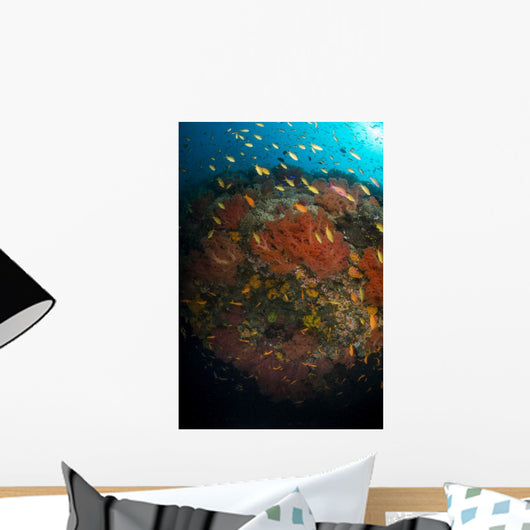 School Orange and Yellow Wall Decal