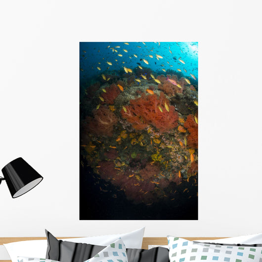 School Orange and Yellow Wall Decal