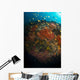 School Orange and Yellow Wall Decal