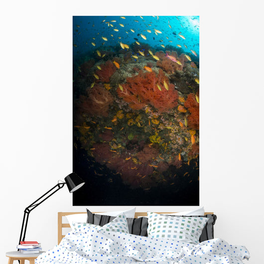 School Orange and Yellow Wall Decal