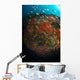 School Orange and Yellow Wall Decal