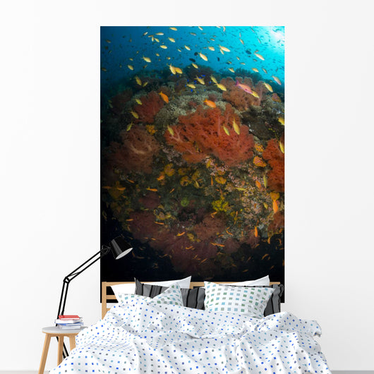 School Orange and Yellow Wall Decal