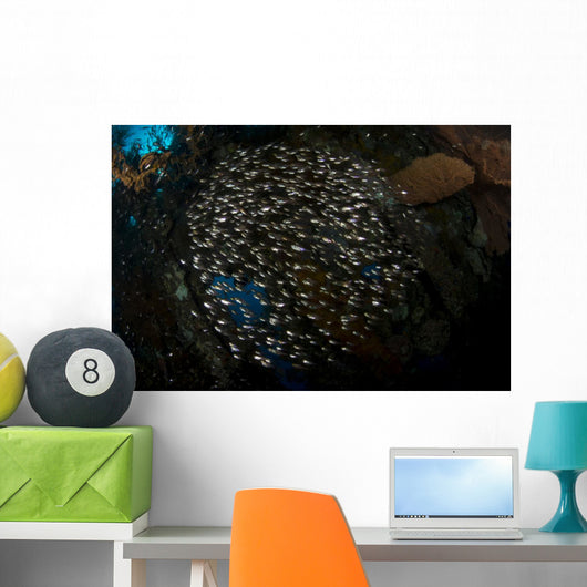 Spherical School Sweeper Glass Horizontal Wall Decal