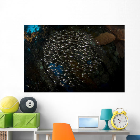 Spherical School Sweeper Glass Horizontal Wall Decal