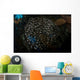 Spherical School Sweeper Glass Horizontal Wall Decal