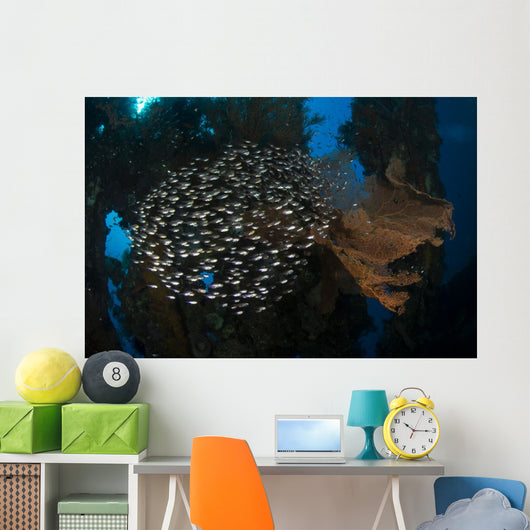 Spherical School Sweeper Glass Wall Decal