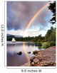 Sailing Under Rainbows, Oregon 97 - Color Wall Mural