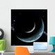 Artist's Depiction Earth-like World Wall Decal