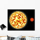 Artist's Depiction Binary Star Wall Decal
