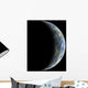 Artist's Depiction Earth-like Planet Wall Decal