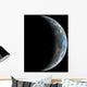 Artist's Depiction Earth-like Planet Wall Decal