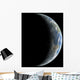 Artist's Depiction Earth-like Planet Wall Decal