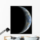 Artist's Depiction Earth-like Planet Wall Decal