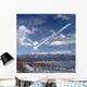 Artist's Depiction Large Meteor Wall Decal