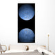 Artist's Depiction Heavily Cratered Moon Reflection Wall Decal