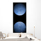 Artist's Depiction Heavily Cratered Moon Reflection Wall Decal