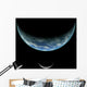 Artist's Depiction Earth-like Planet and Moon Wall Decal
