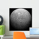 Artist's Depiction Heavily Cratered Moon Wall Decal
