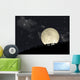 Full Moon Rising behind Wall Decal