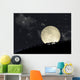 Full Moon Rising behind Wall Decal