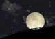 Full Moon Rising behind Wall Decal