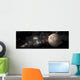 Heavily Cratered Moon Alone Wall Decal