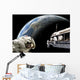 Astronauts Performing Work Space Shadow Earth Wall Decal