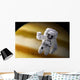 Astronaut Floating Space above Wall Decal