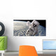Artist's Concept Astronaut Floating Clouds Wall Decal