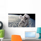 Artist's Concept Astronaut Floating Clouds Wall Decal