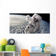 Artist's Concept Astronaut Floating Clouds Wall Decal