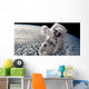 Artist's Concept Astronaut Floating Clouds Wall Decal