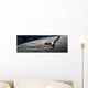 Space Probe Investigates Cloud Horizontal Wall Decal