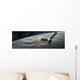 Space Probe Investigates Cloud Horizontal Wall Decal