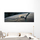 Space Probe Investigates Cloud Horizontal Wall Decal